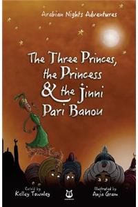 The Three Princes, the Princess and the Jinni Pari Banou