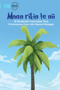 First Coconut Tree - Moan rikin te nii (Te Kiribati)