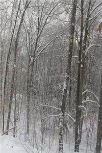 Journal Winter Forest Bare Trees Snowy Groundcover