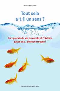 Tout cela a-t-il un sens ?