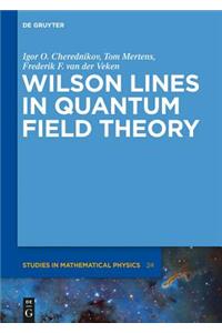 Wilson Lines in Quantum Field Theory