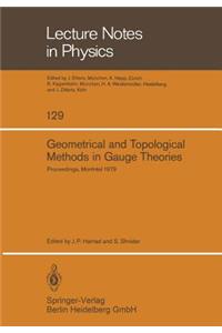 Geometrical and Topological Methods in Gauge Theories