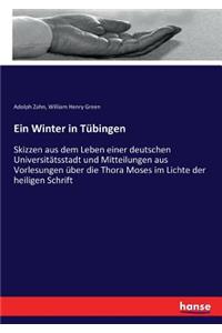 Ein Winter in Tübingen