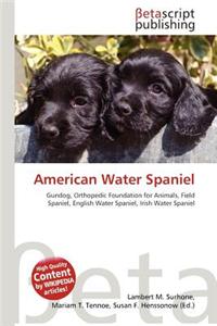 American Water Spaniel
