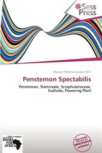 Penstemon Spectabilis