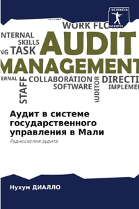 Аудит в системе государственного управле