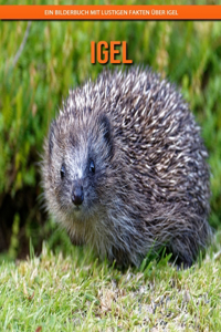 Igel
