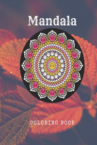 Mandala Coloring Book