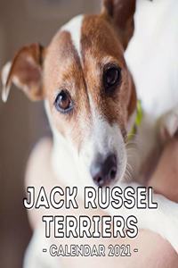 Jack Russel Terriers