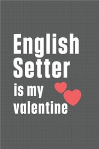 English Setter is my valentine