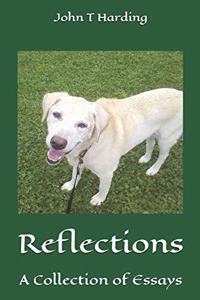 Reflections
