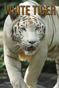 White Tiger