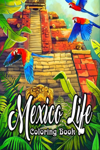 Mexico Life Coloring Book