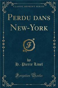 Perdu Dans New-York (Classic Reprint)