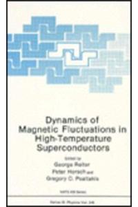 Dynamics of Magnetic Fluctuations in High-Temperature Superconductors