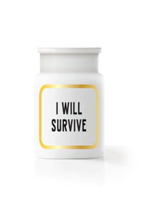 I Will Survive Small Planter