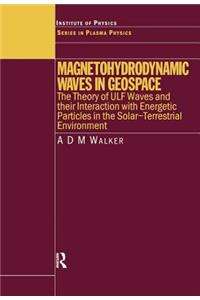 Magnetohydrodynamic Waves in Geospace