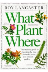 What Plant Where