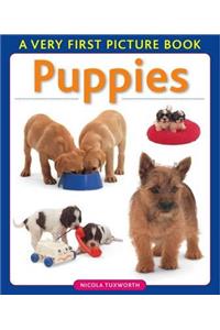 Puppies