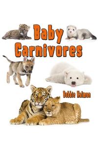 Baby Carnivores