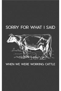 Sorry For What I Said When We Were Working Cattle