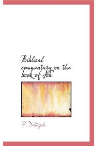 Biblical Commentary on the Book of Job