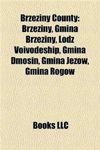 Brzeziny County
