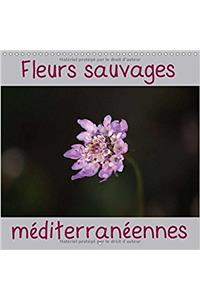 Fleurs Sauvages Mediterraneennes 2017