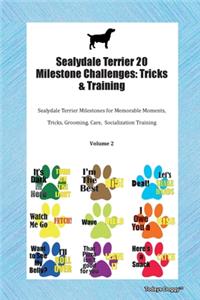 Sealydale Terrier 20 Milestone Challenges