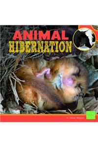 Learn About Animal Behavior Animal Hibernation