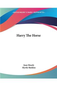 Harry The Horse