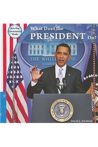 What Does the President Do?