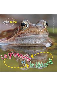 Cycle de Vie: La Grenouille Et Le T?tard