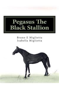 Pegasus The Black Stallion