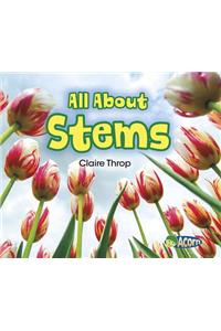 All about Stems