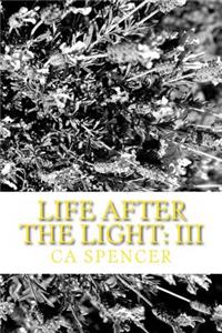 Life After The Light