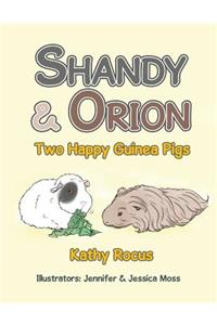 Shandy & Orion: Two Happy Guinea Pigs