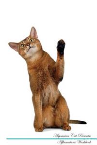 Abyssinian Cat Affirmations Workbook Abyssinian Cat Presents