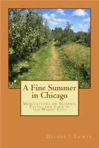 Fine Summer in Chicago