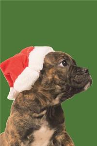 English Bulldog Ready for Christmas Journal