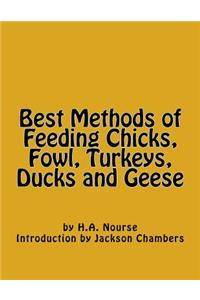 Best Methods of Feeding Chicks, Fowl, Turkeys, Ducks and Geese