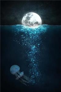 Full Moon Reflected on the Ocean