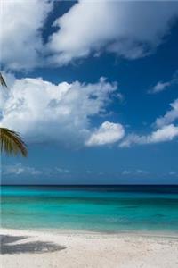 Tropical Island Dreams