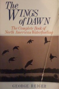 Wings of Dawn