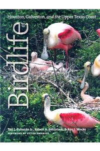 Birdlife of Houston, Galveston, and the Upper Texas Coast