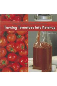 Turning Tomatoes Into Ketchup