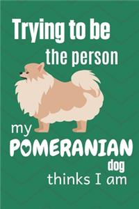 Trying to be the person my Pomeranian Dog thinks I am