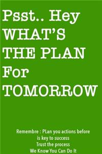 Psst... Hey What is the Plan For Tomorrow / Green Notebook Version