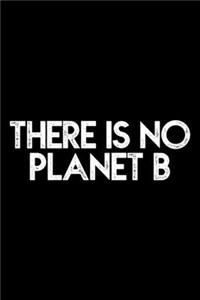 There Is No Planet B Save The World