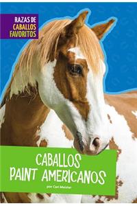 Caballos Paint Americanos